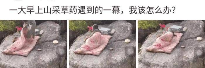 “清晨在山上碰到如许的一幕，那是干什么呢？”我该怎么办啊？