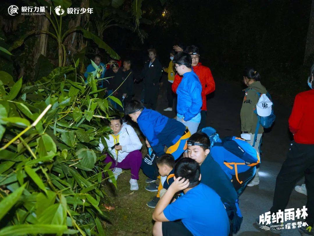 陪你去雨林 | 一群少年摸索家6天5晚西双版纳雨林之旅