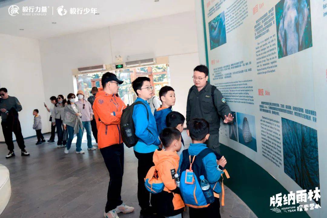 陪你去雨林 | 一群少年摸索家6天5晚西双版纳雨林之旅