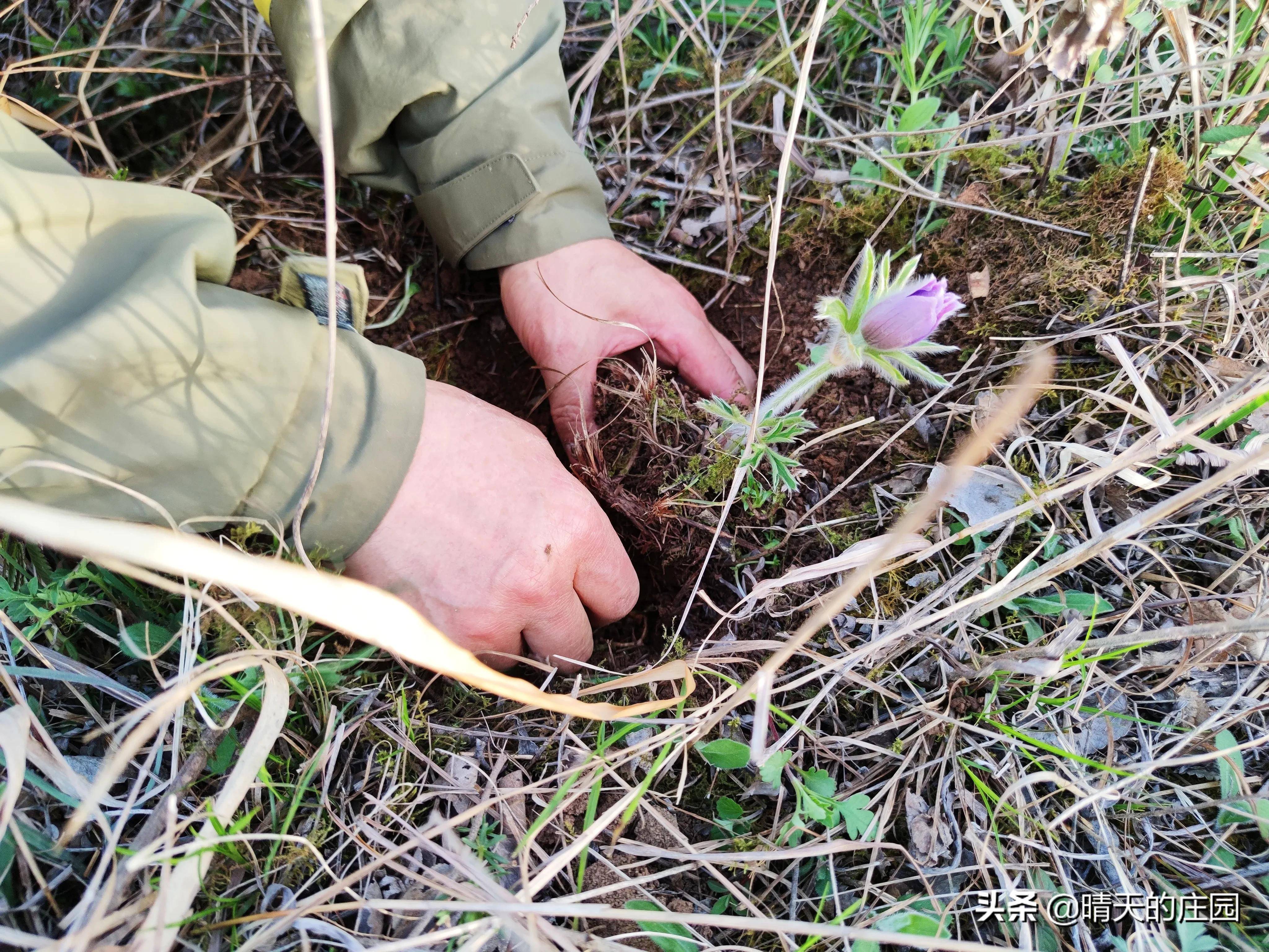 在人迹罕至的小山头，看我发现了什么？​与杜甫有关的