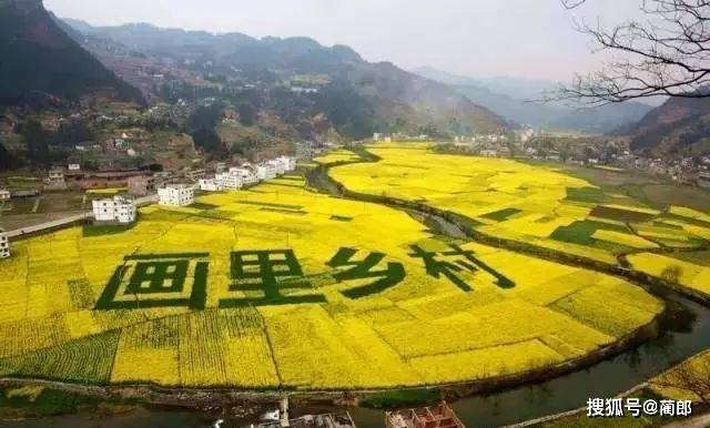 那份泸州春季赏花攻略已为你提早备好，酒城大地即将被它们铺满