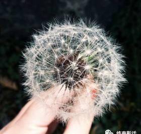 �������ˣ��������ˡ�������Ӱ�����õ��������