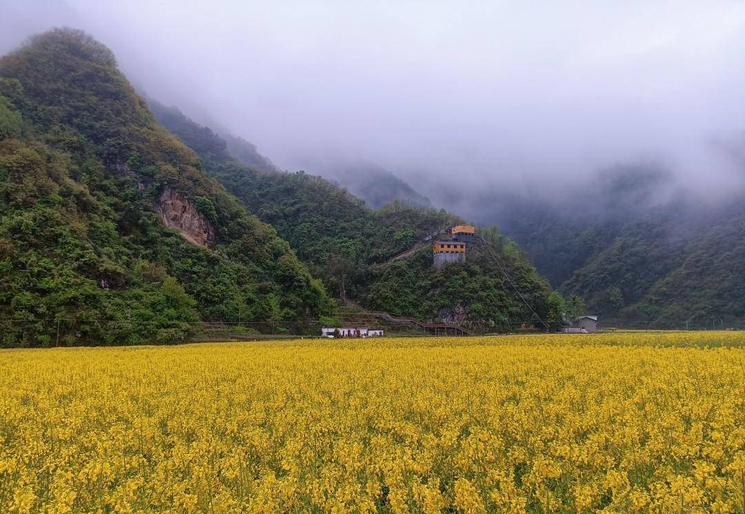 乘坐开往秦岭云烟深处的火车，抵达十里花海村子，仙气飘飘太美了