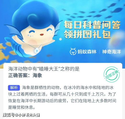 海洋动物中有“瞌睡大王”之称的是哪一个？蚂蚁丛林奇异海洋