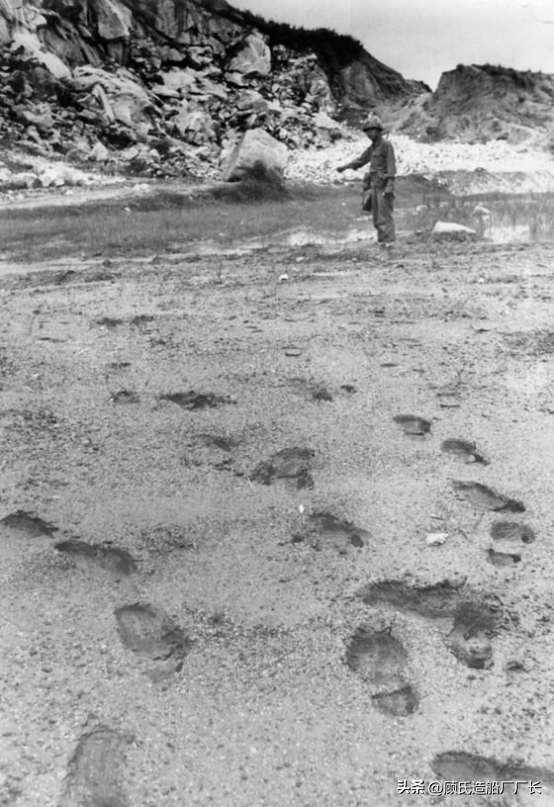 һ֧�����������ֲ��ӵ����һ��������1971�꺫��8.23ʵ ...