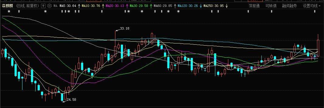 浮盈近7000万！千亿顶流高毅最新重仓股曝光！最新规划了谁？