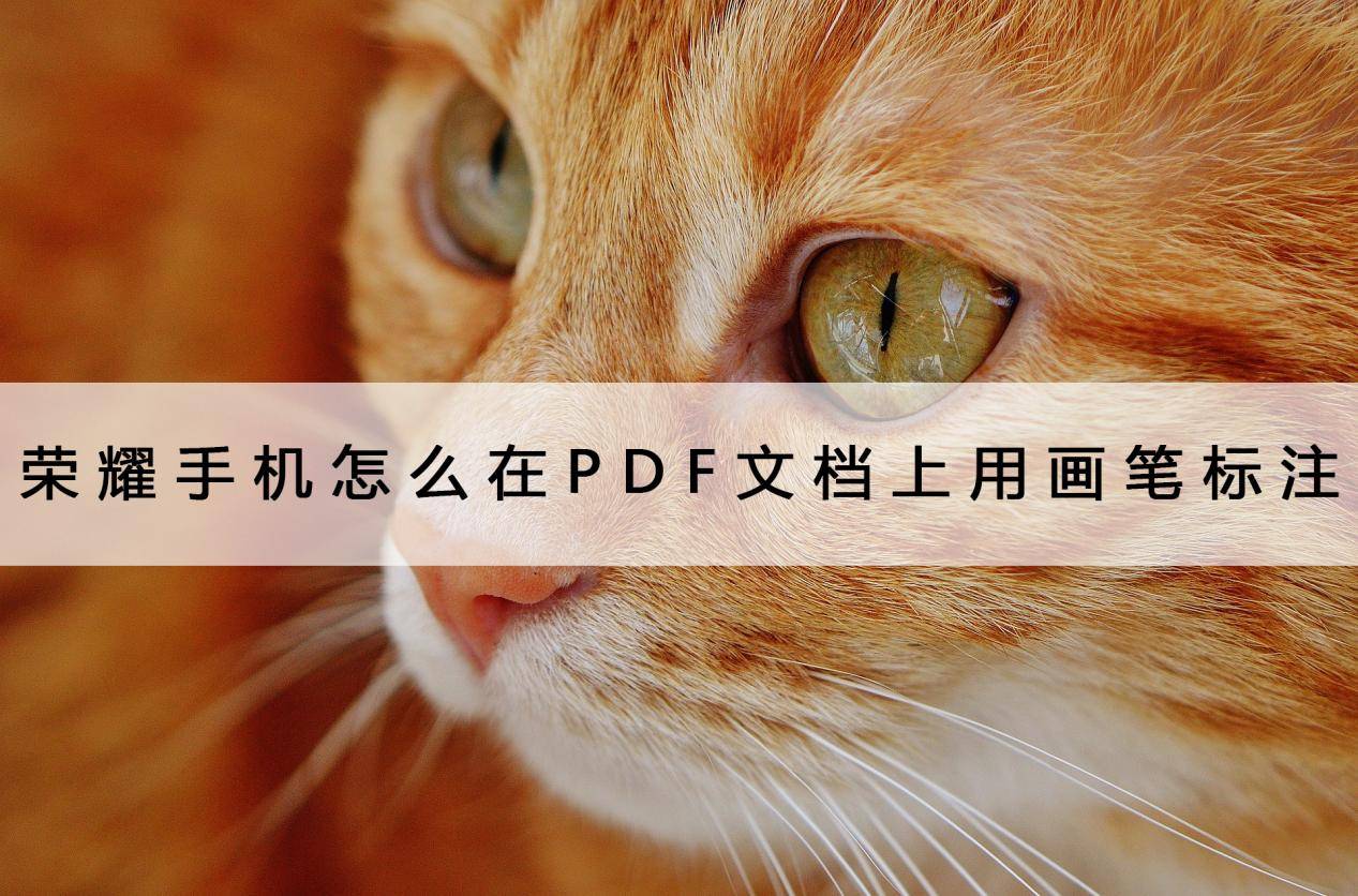 荣耀手机怎么在PDF文档上用画笔标注？尝尝它