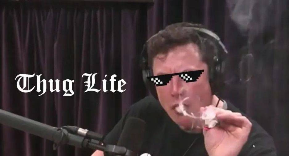 马斯克挑战ChatGPT?OpenAI转型谜题,未来替代品何在? 马斯克挑战ChatGPT?OpenAI转型谜题,未来替代品何在?