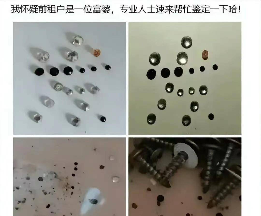 那是电子显微镜下蚂蚁的脸，有没有什么想说的？细思极恐啊