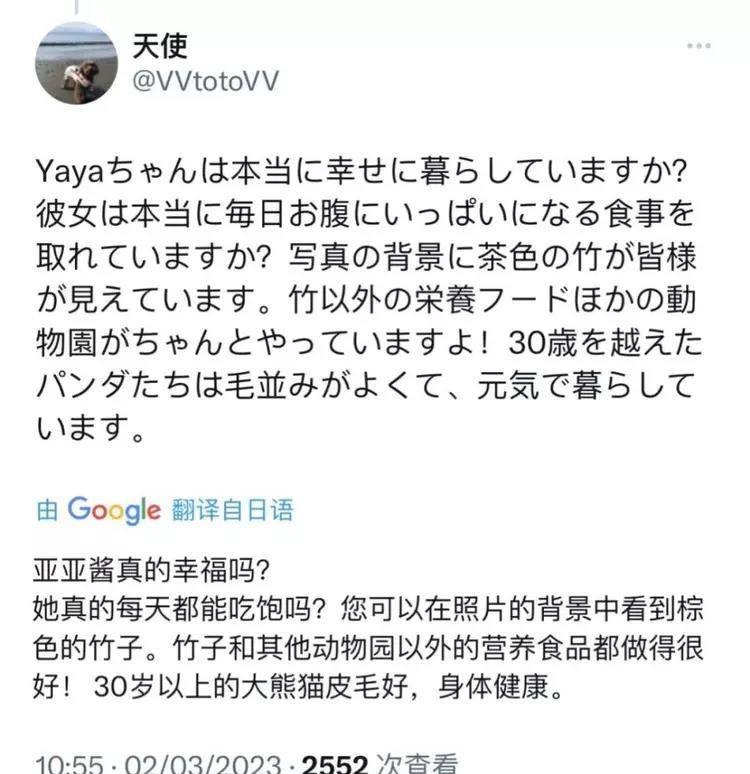 国宝丫丫熊猫受虐多年，幕后“黑手”被扒出！本来早就劣迹斑斑