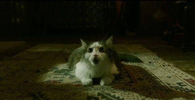 ��˹�����ӰƬ��ˮ�������Щϸ�ڱ��صĹ��£�û�Ļ��� ...