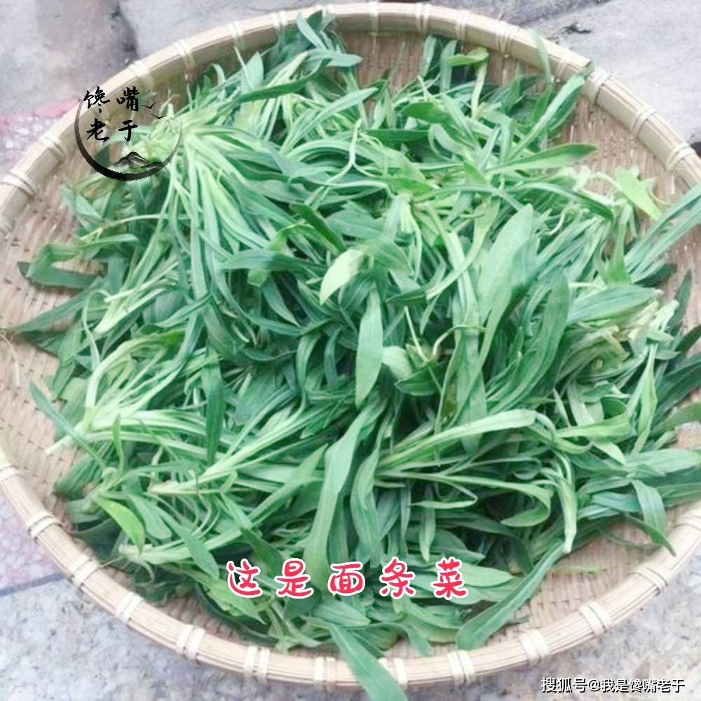 常吃野菜益处多，但那7种野菜不要吃，今天才弄大白，长常识了