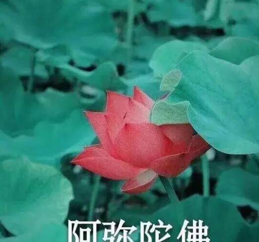 你在男女伴侣的手机里发现过什么奥秘？