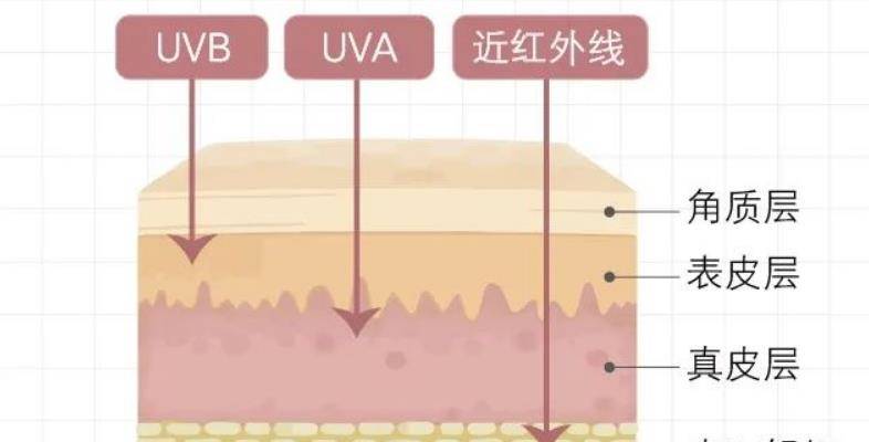 身上那个部位的肤色，就是你的「美白」极限了……