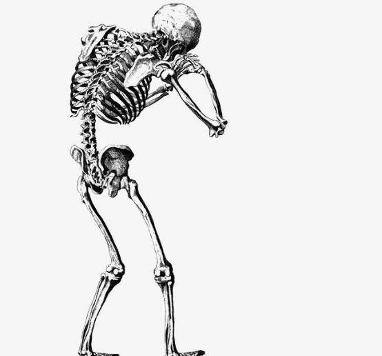 �����������ʬ��Ϊ�λ���ʬ��Ұ������������Ԥı�������� ...