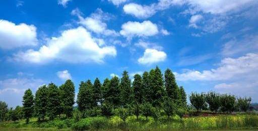 人送别号“小西湖”，那是一个四时鲜花不竭的杭州小寡美景之地