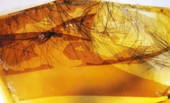 �����ս���У����غ��鱦�̣�������ȫ���׸��������껯ʯ ...