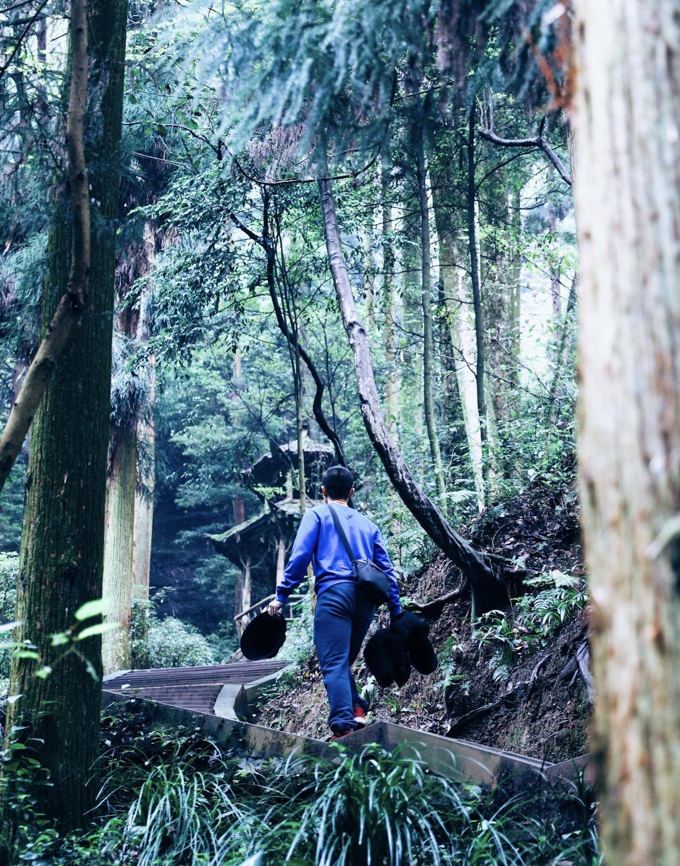 成都青城全国幽，游前山仍是后山，到底怎么选？