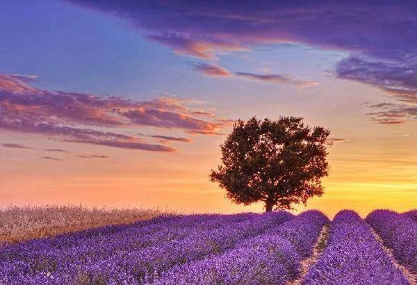 ʮ��ǰ�ҵ���Ʈ���˰��ŷ�ޣ���������������ŷ��