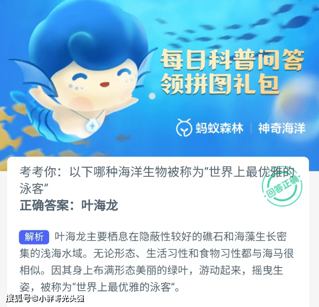 哪种海洋生物被称为“世界上更优雅的泳客”？蚂蚁丛林奇异海洋