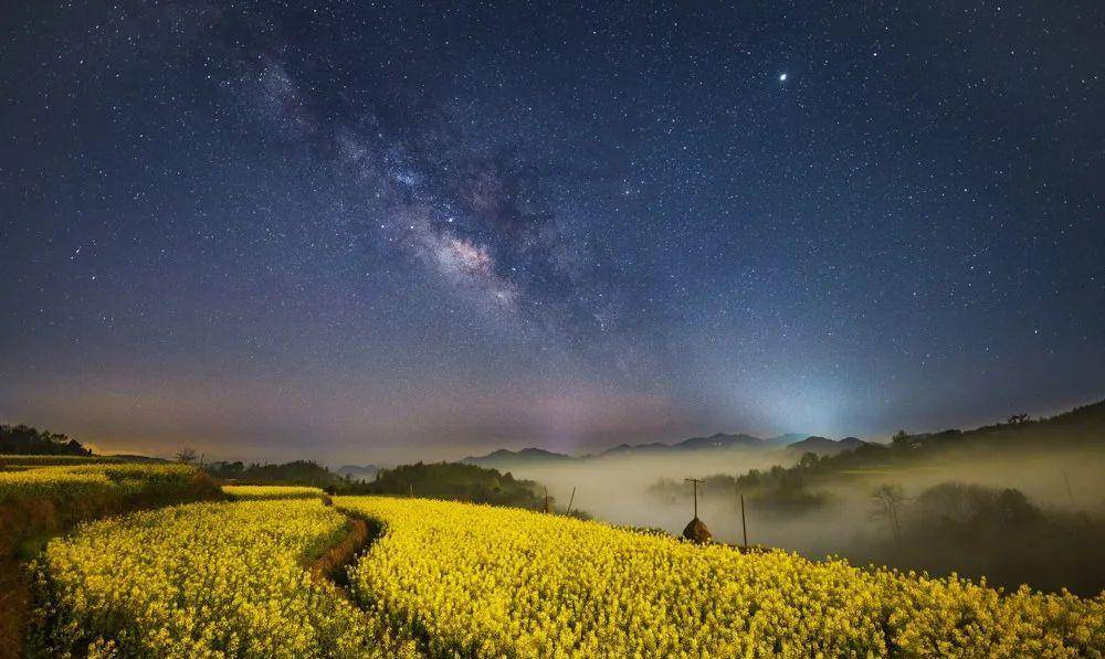 致敬星光女神，那些就是她们摘下的星星