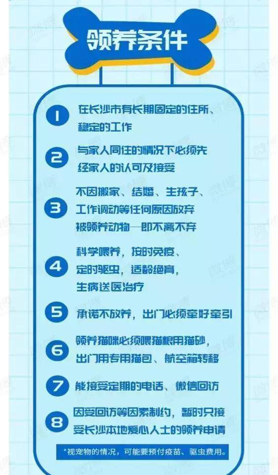 游戏感之外，年轻态节目如何构建社会意义｜《密室大逃脱》破与立