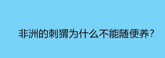 刺猬的资料（刺猬的资料简介）