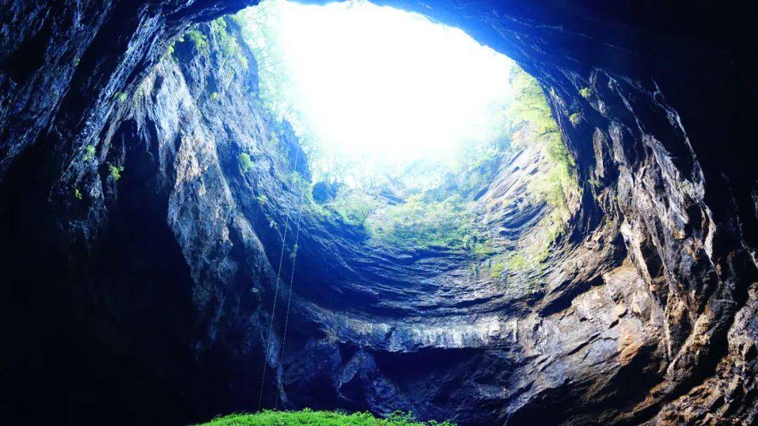 春入巴山丨那条绝美景不雅大道带你畅游金色油菜花海……