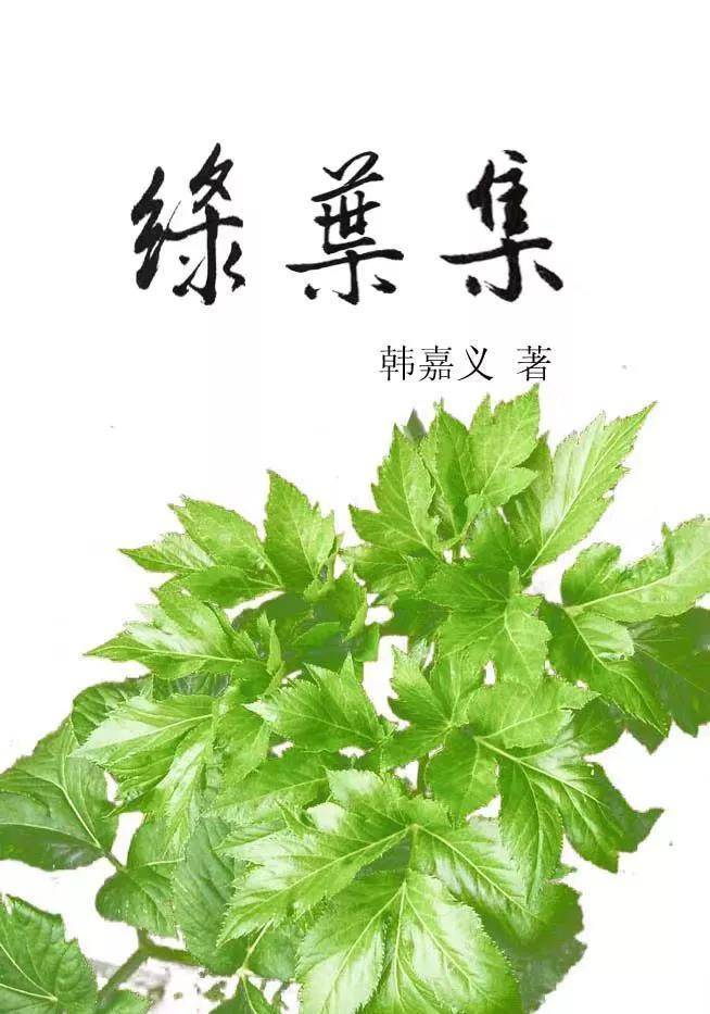 《绿叶集》下集 (三)蹉跎岁月 (5)普通的一天