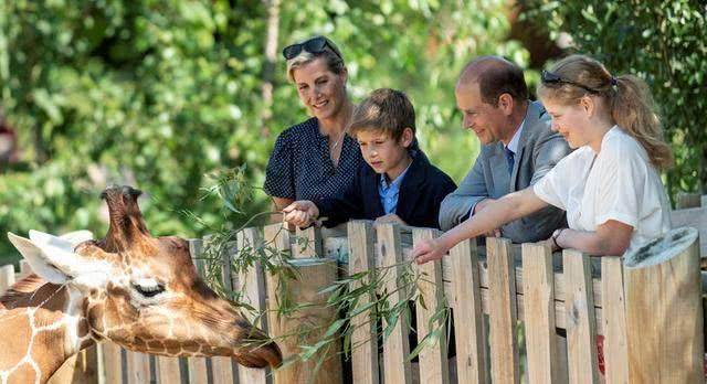 ���ֲ����������գ��������ؾ��п���ᣬ���»������ ...