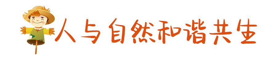 超震撼！济宁迎来花海旅游季·巨型稻草人王国，4月1日起迎客！送门票啦！