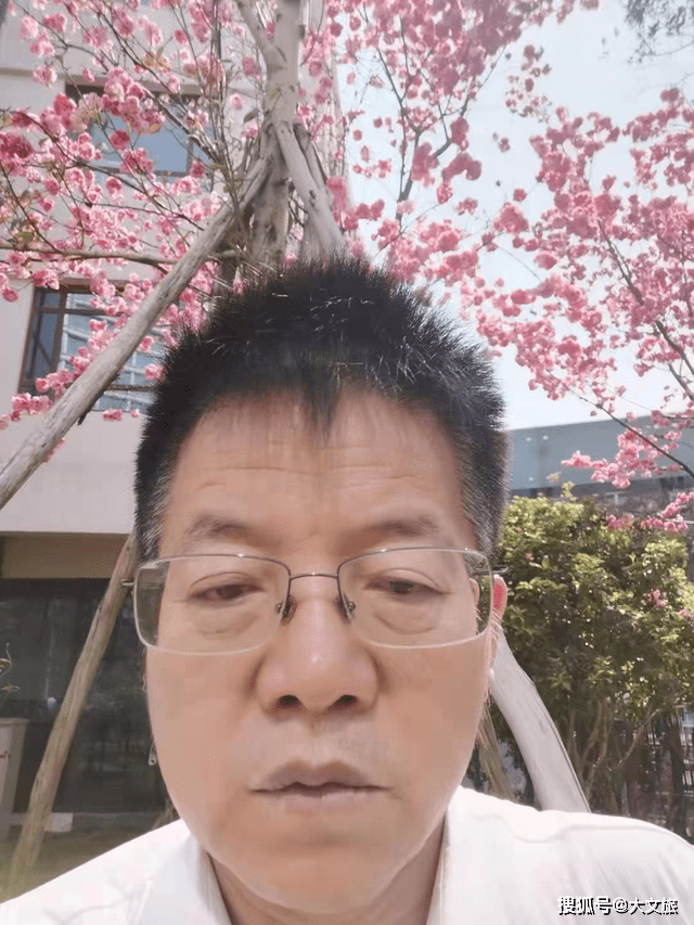 杨道超：樱容似蝶舞春城