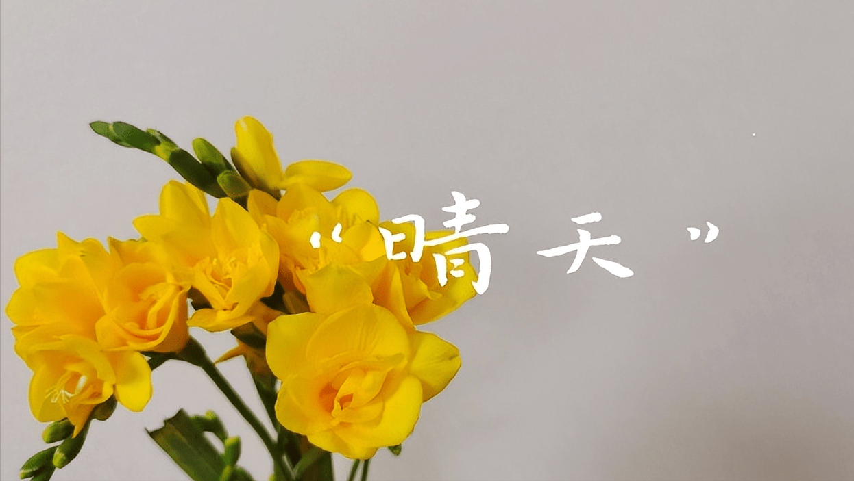 一生不愁吃穿，有爱也自在，祝你也愿我