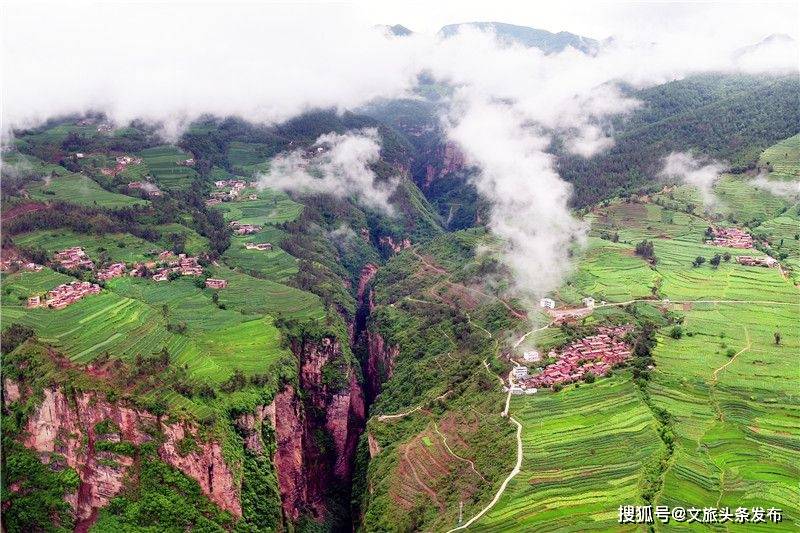 3月25日 玩转武定牡丹文化旅游节