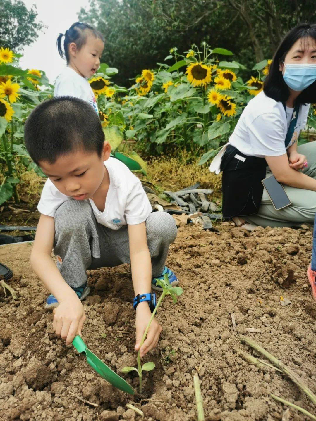 “春暖花开，我们在一路”——诺亚舟雅筑幼儿园百万葵园亲子春游