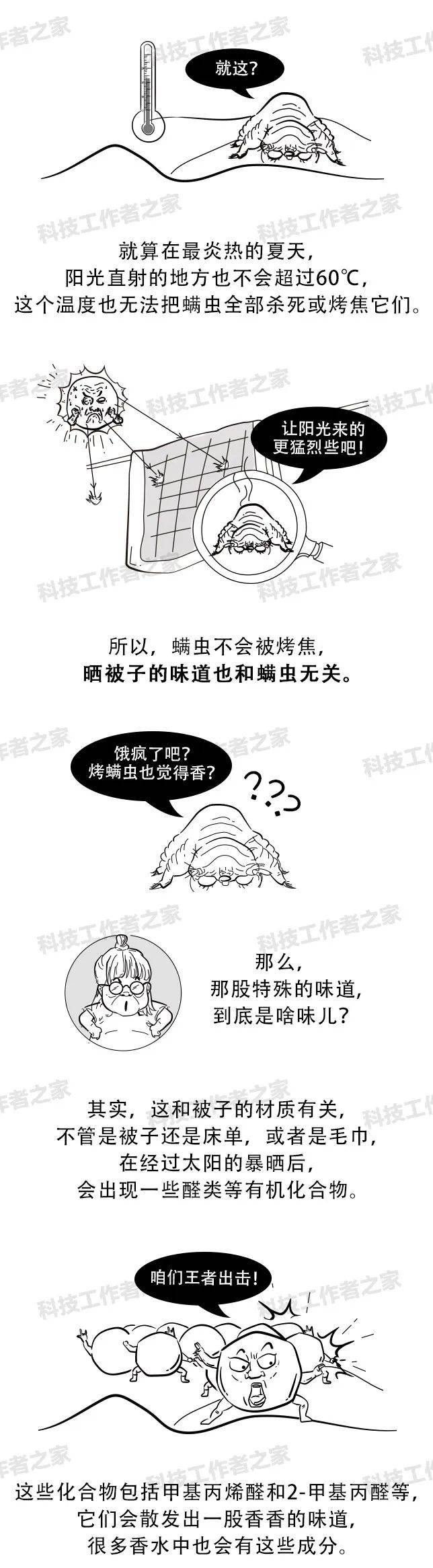 被子晒完后的"香味"，其实是螨虫尸体的味道？还能安心晒被子吗？