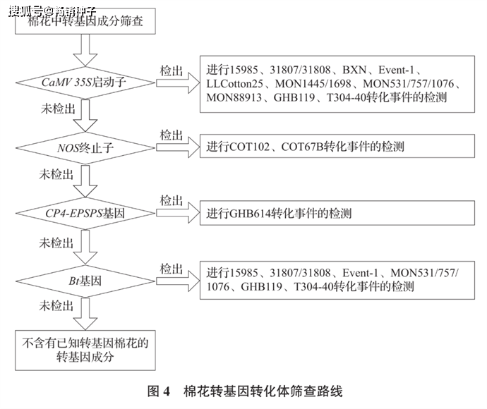 次要农做物种子中若何快速、准确、高效筛查转基因成分？