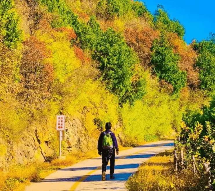 北京旅游必打卡线路（七）：香山、动物园、卧佛寺、百望山