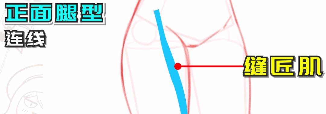 从里到外理解腿部构造！2分钟学会差别角度的腿部画法