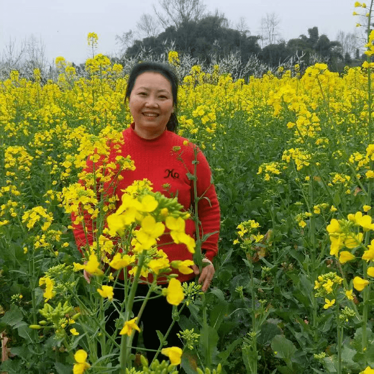 请赏识峨眉山市诗词研究协会第一期《花》