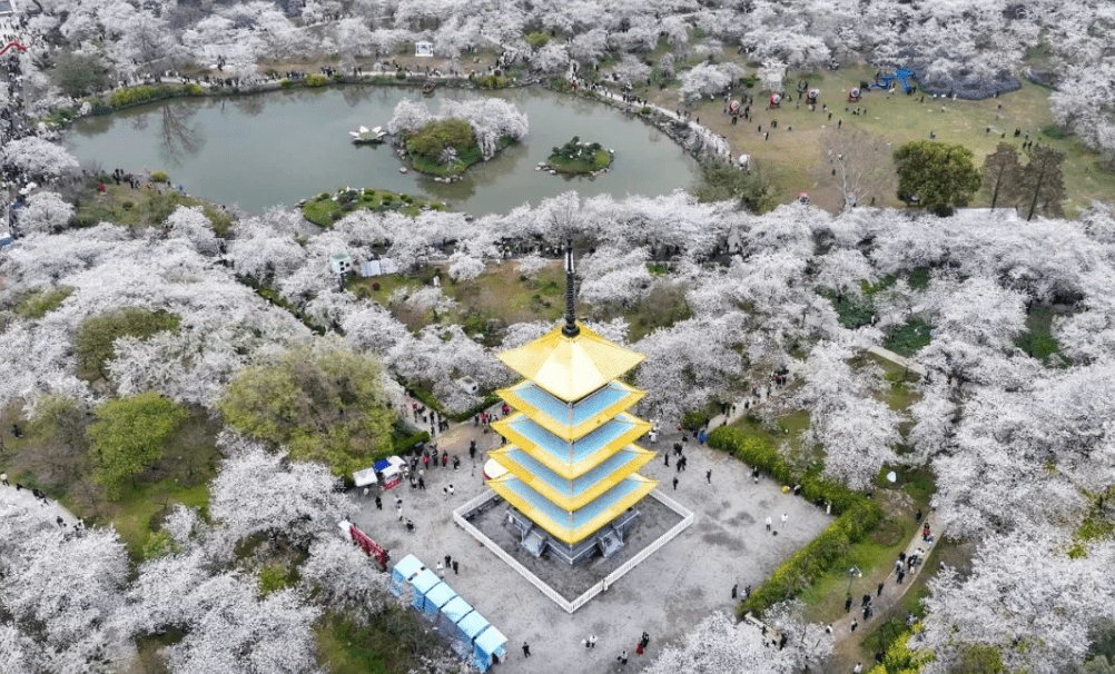 “黑马”武汉，凭什么反超杭州？| 城市贸易系列