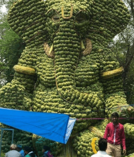 老丈人说别让你妻子老瞎跑回娘家