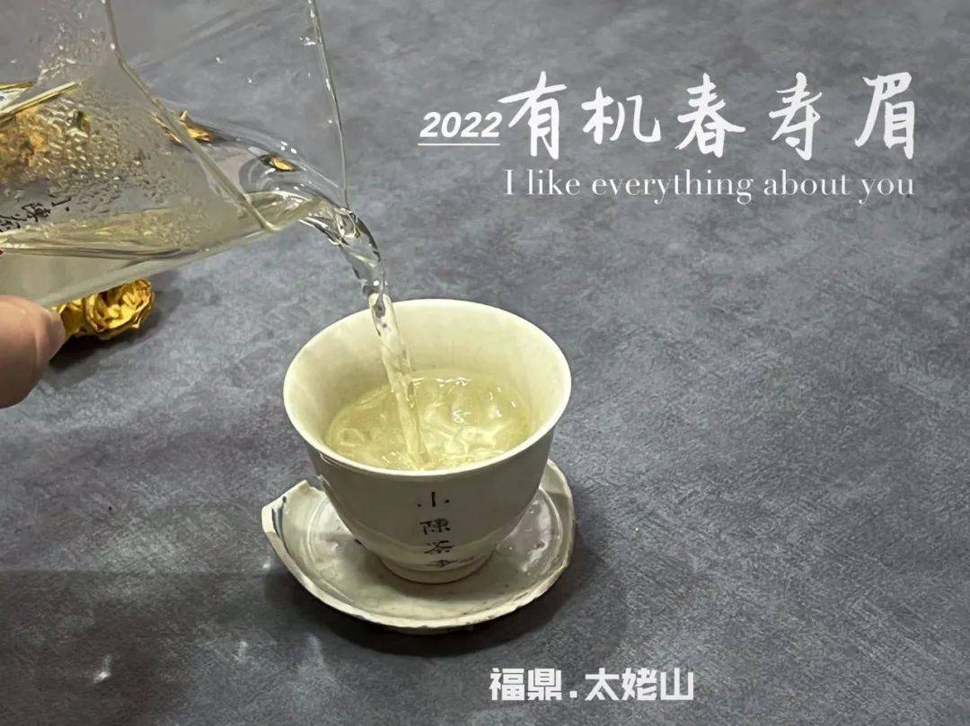 茶叶要洗几遍,才算干净卫生?是不是所有茶叶都要洗一洗再喝?