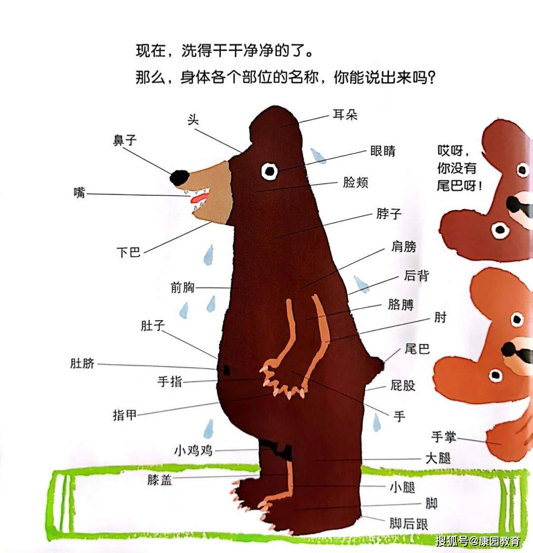 约会绘本，咿起美妙——《我的身体，那是什么》