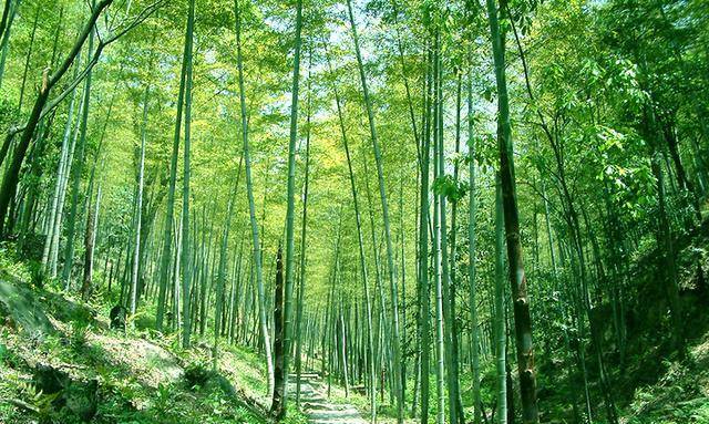 一年弹指又春归，6首最美谷雨古诗词，留住美妙春光