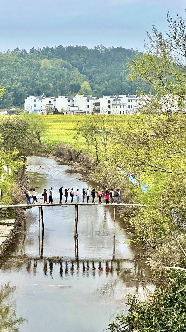 春游，愉悦之旅