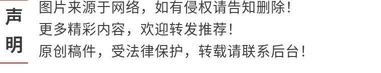 推特LOGO“蓝鸟”“柴犬”来回换，丢掉世界首富头衔的马斯克要干吗？