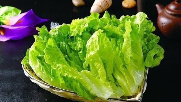 生菜不能和什么一起吃？让我们来看看生菜与哪些食物相克！