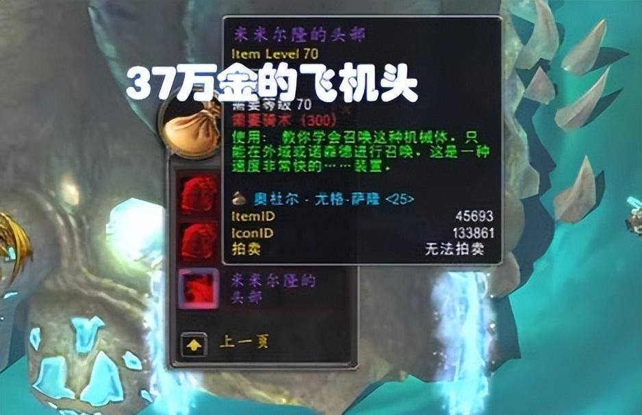 魔兽怀旧服：飞机头拍出37万金，人均分5.7W，亚服禁绝RMT成笑话