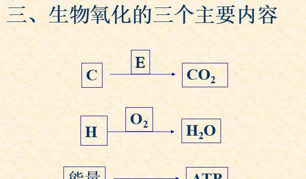 一般人能活良多年，每天都吸氧气，有想过可能是一种“毒气”吗？